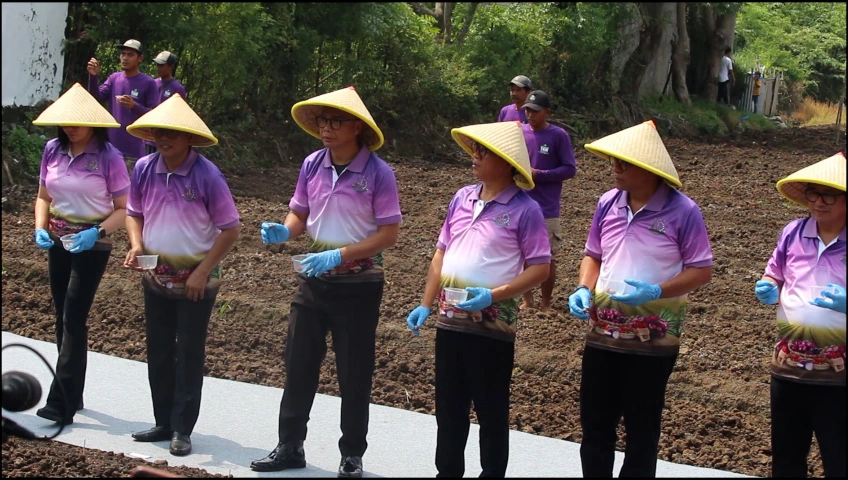 Tanam Bawang